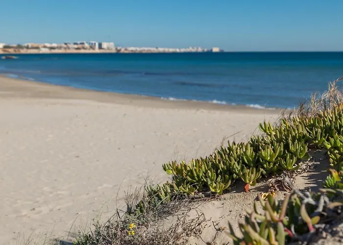 Flamenca Village Lime & Lemon * Orihuela